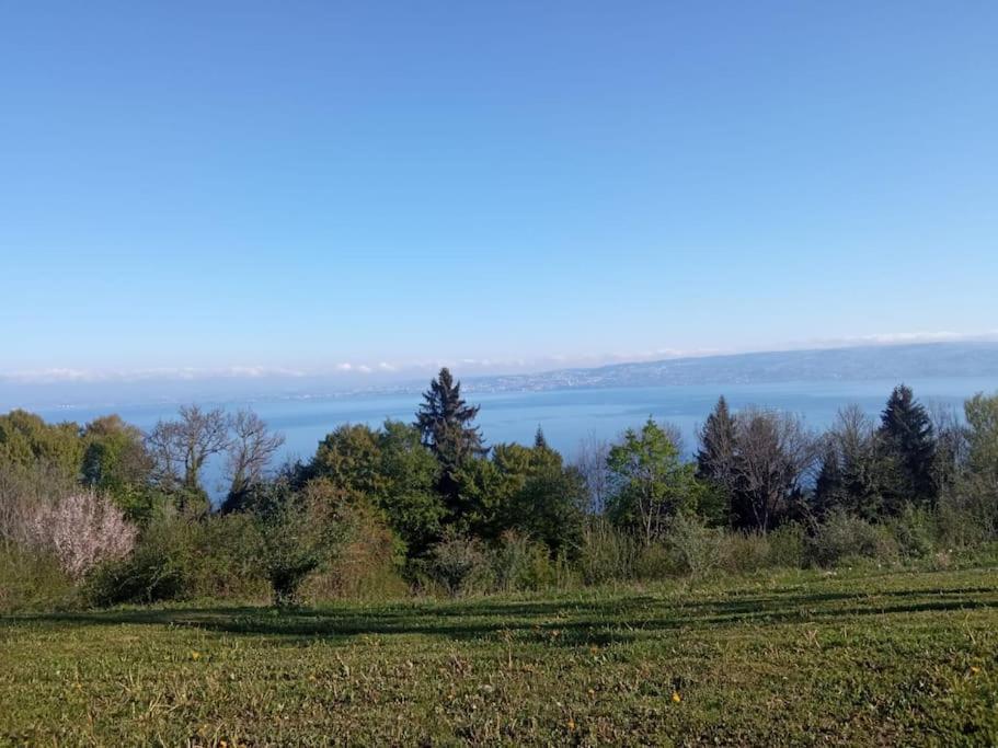 Lugrin Proche Du Lac Et Montagne Bagian luar foto
